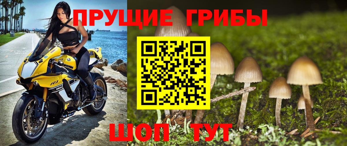 Псилоцибиновые грибы ЛСД Ефремов